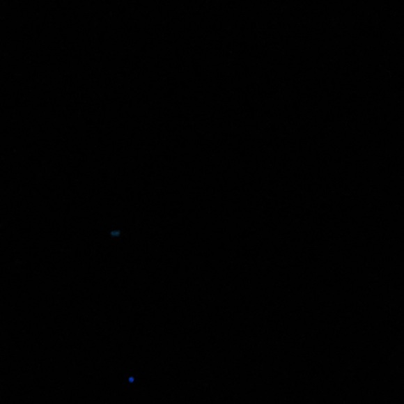 Meet your Posher, Billy - Picture 1 of 1